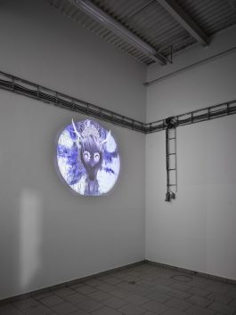 Denisa Strmiskova Studio