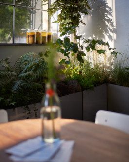 Denisa Strmiskova Studio