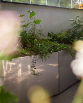 Denisa Strmiskova Studio