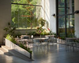 Denisa Strmiskova Studio