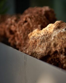 Denisa Strmiskova Studio