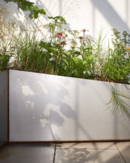 Denisa Strmiskova Studio