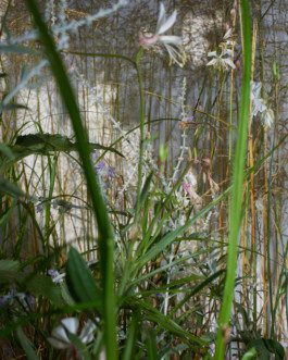 Denisa Strmiskova Studio