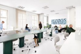 Denisa Strmiskova Studio